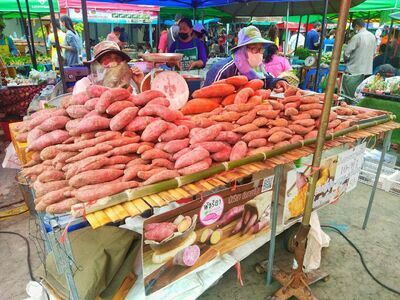 Saturday Green Market