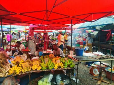 Saturday Green Market