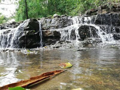Than Ngam Park