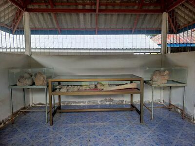 The Prehistoric Museum