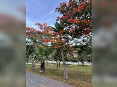 Bung Ta Lua Public Park
