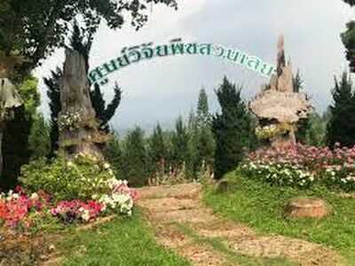 Phu Ruea Highland Winery, Loei, Thailand