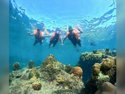 Sea Man Koh Samet Snorkeling & Ferry Service