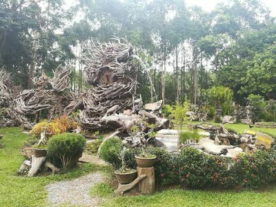 The Dragon Tree Sculpture Museum