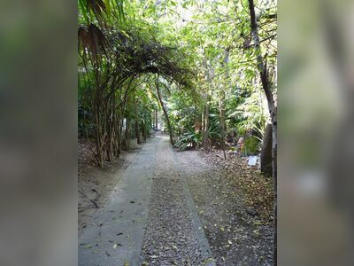 Lampang Herb Garden