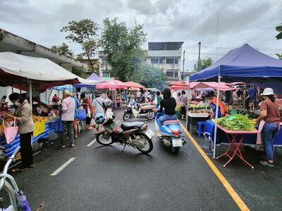 Saturday Green Market