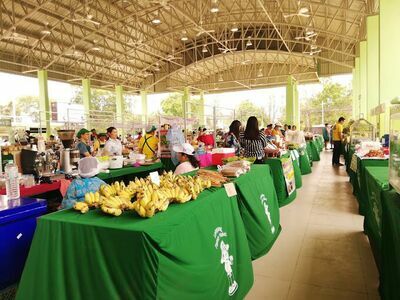 Lampang Agricultural Market