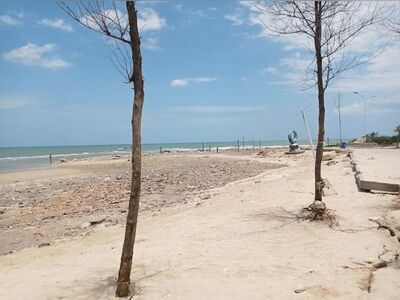 Viewpoint: First Sand Beach - Cape Laem Luang