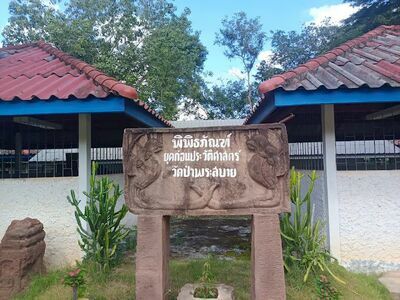 The Prehistoric Museum