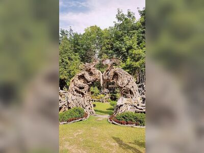 The Dragon Tree Sculpture Museum