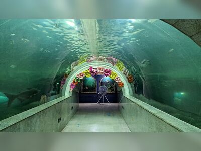 Nong Yat Freshwater Aquarium