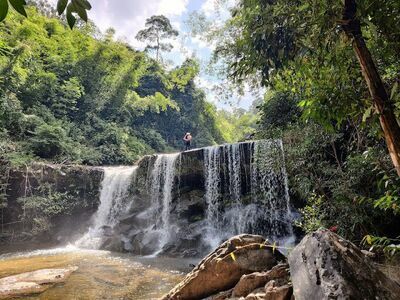 Phu Chong Na Yoi National Park