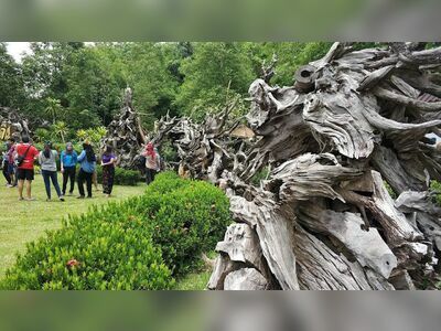 The Dragon Tree Sculpture Museum