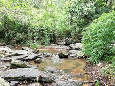 Than Ngam Park