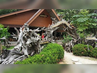 The Dragon Tree Sculpture Museum