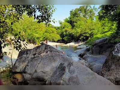 The Royal Thai Natural History Park under the Royal Initiative of Her Royal Highness Princess Maha Chakri Sirindhorn