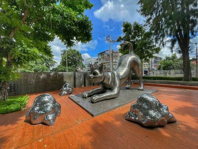 Art Galleries and Exhibitions
