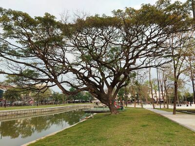 Phumirak Park
