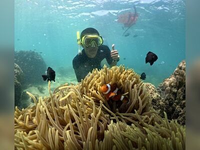 Sea Man Koh Samet Snorkeling & Ferry Service