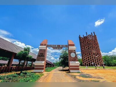 Surin Elephant Museum