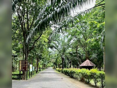 Cha-am Forest Park