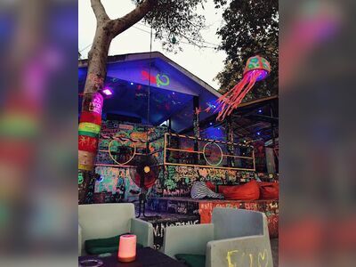 Gecko Bar