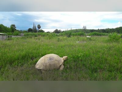 Turtle Conservation Center
