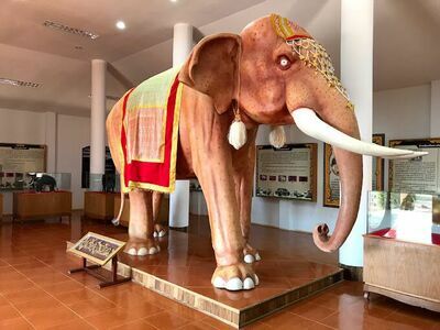 Surin Elephant Museum