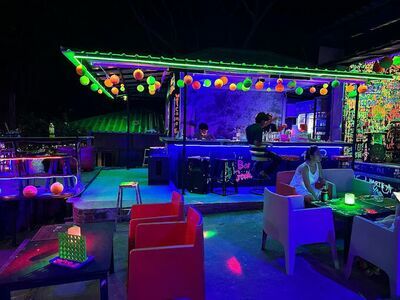 Gecko Bar