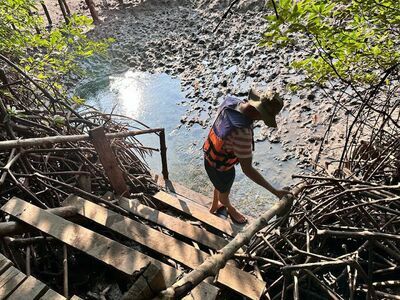 Bohin Saline Onsen and Mud Spa