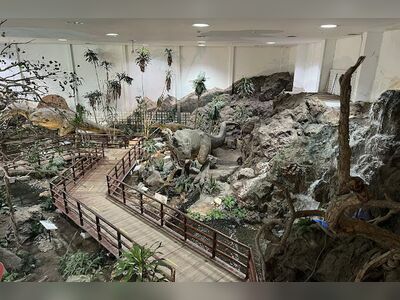 Phu Wiang Dinosaur Museum