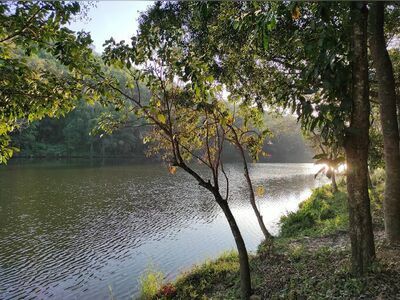 Chaloem Phra Kiat Thai Prachan National Park