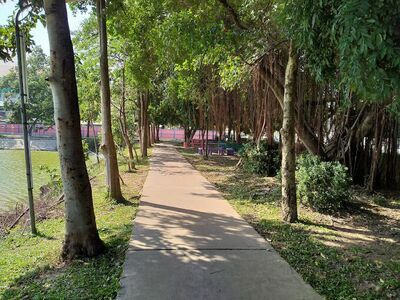 Nong Kang Aen Public Park