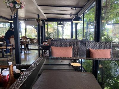 Boxwood Khon Kaen