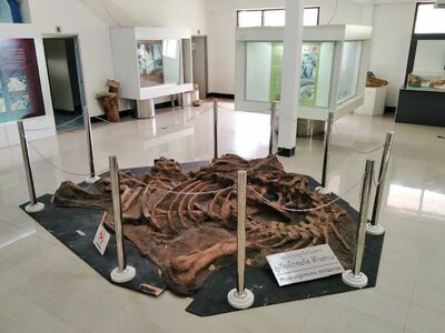 Mineral and Rock Resource Research Center