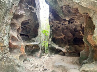 Nam Phong National Park