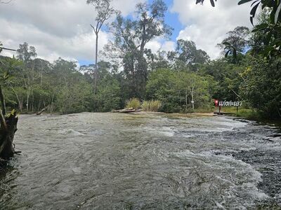 Phu Chong Na Yoi National Park