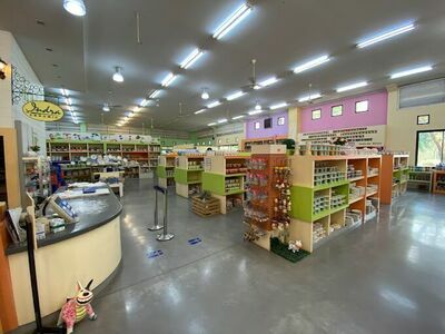 Intra Outlet