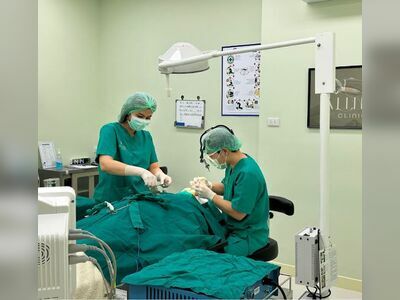 ALINE Clinic by Dr. Phuwit