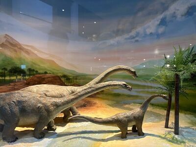 Phu Wiang Dinosaur Museum