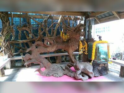 The Dragon Tree Sculpture Museum