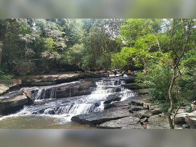 Phu Chong Na Yoi National Park