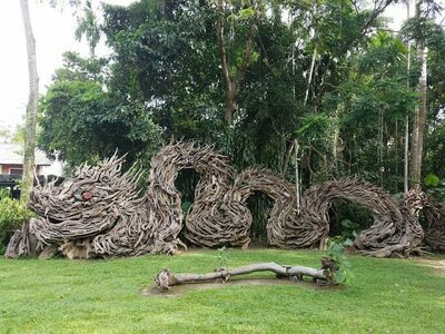 The Dragon Tree Sculpture Museum