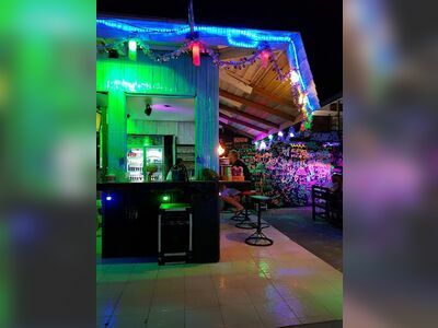 Gecko Bar