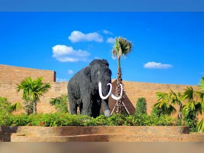 Surin Elephant Museum