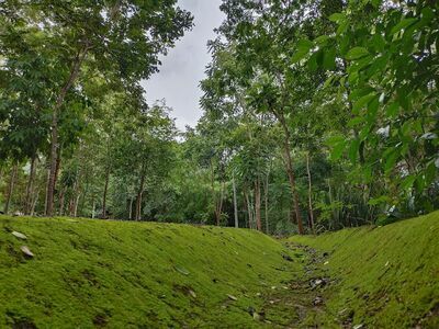 Khelang Banphot National Park