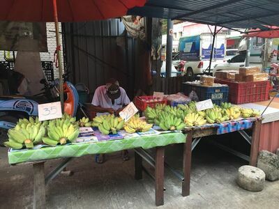 Thai Isan Market