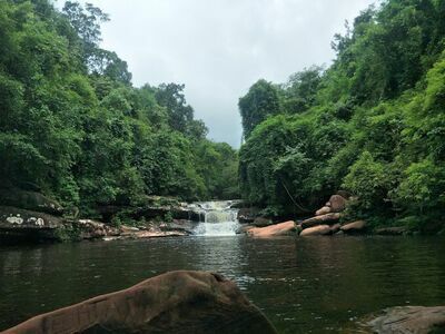 Phu Langka National Park