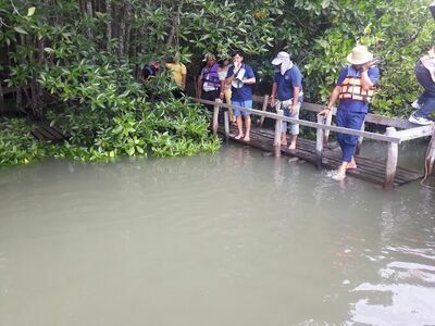 Bohin Saline Onsen and Mud Spa