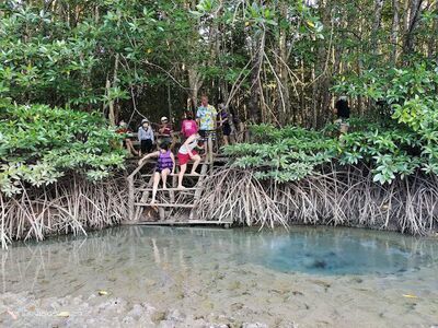 Bohin Saline Onsen and Mud Spa